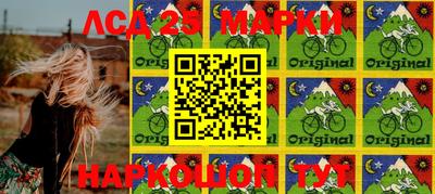 индика Мариинск
