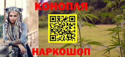 индика Мариинск