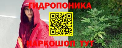 индика Мариинск
