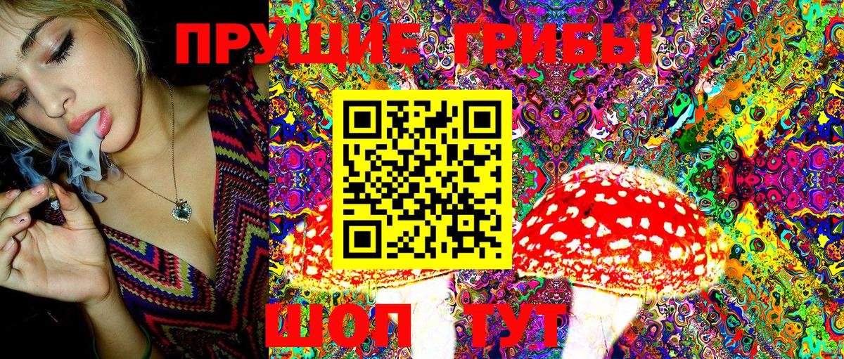 Тулун  Псилоцибиновые грибы MAGIC MUSHROOMS  сколько стоит  Вход с VPN 